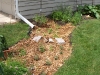 Raingarden