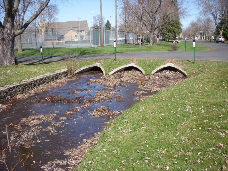 Perro Creek